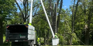 Wilton, CT, Tree Service