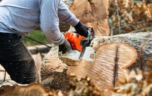 Fairfield County, CT Tree Service